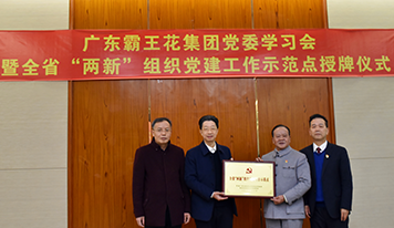 廣東霸王花集團(tuán)黨委開(kāi)展學(xué)習(xí)會(huì)暨全省“兩新”組織黨建示范點(diǎn)授牌儀式